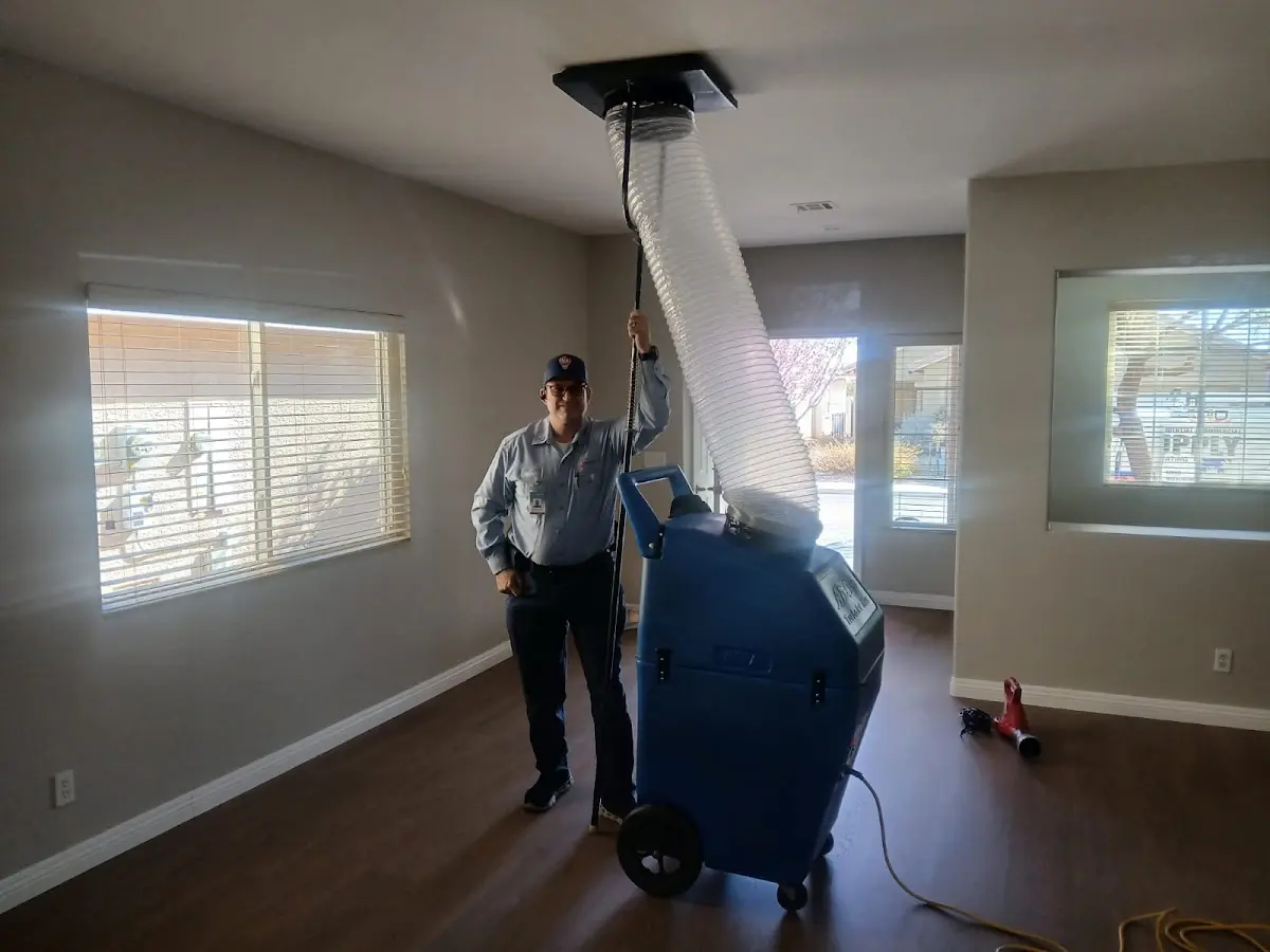 Professional Dryer Vent Cleaning work inside a Hawthorne home